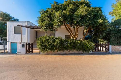 Capilungo House | Casa della Cupa