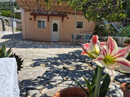 Farsa House | Casa di Pietro 1