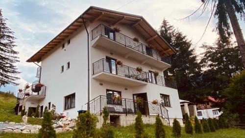 Borsa House | Casa dintre Brazi