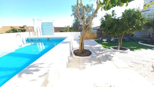 Arraiolos House | Casa do Castelo