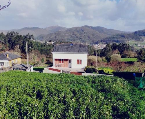 Viveiro House | Casa familiar con finca privada (Orolterra)