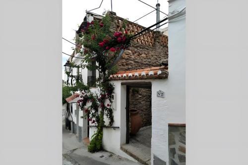Rubite House | Casa Fuensanta Balcón Al Mar