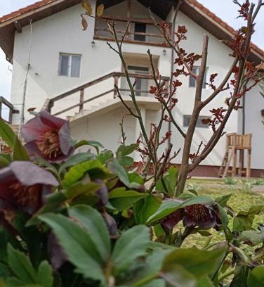 Izvoarele House | Casa Gheorghe