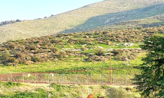 Gan Ner Apartment | Casa Gilboa - The perfect country getaway.