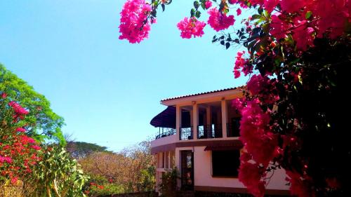 Samara Apartment | Casa La Guaria