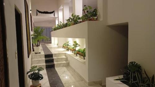 Atlatlahucan House | Casa Marcy, casa nueva con alberca y tres recamaras