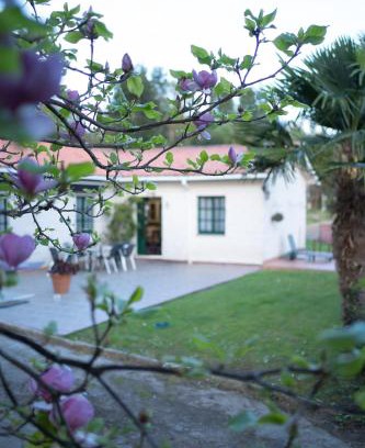 Mino House | Casa Milladoiro