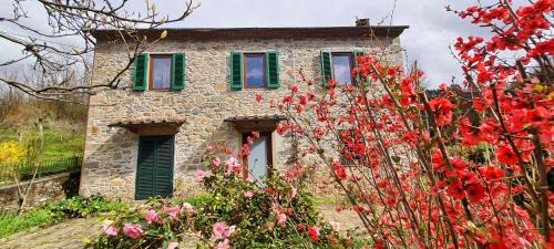 Casoli House | Casa Millefiori