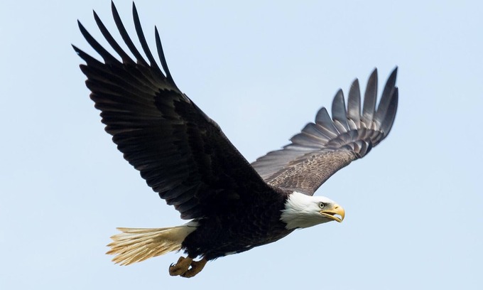 Menomonie Apartment | Casa on the Red Cedar River