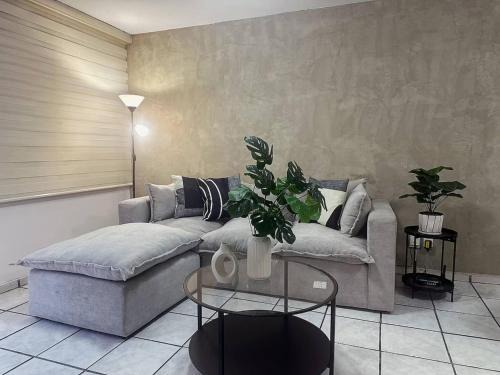 Guadalajara Municipality House | Casa Plaza de Toros