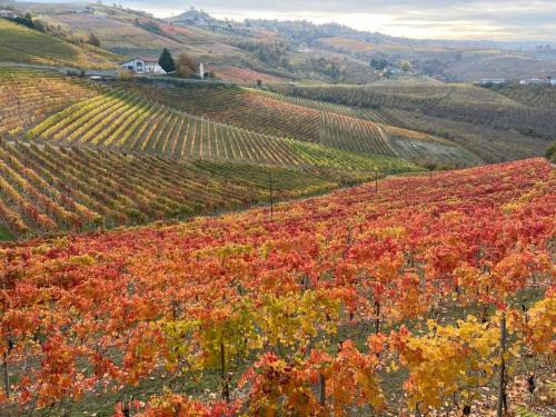 Alba House | Casa Quinterni