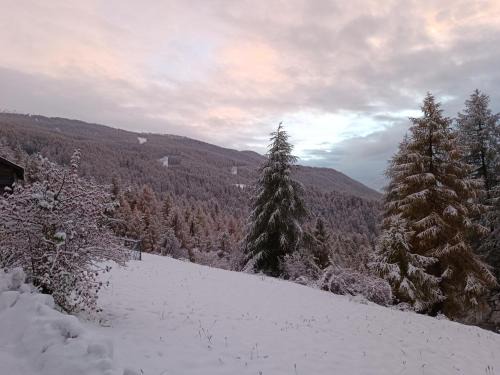 Sauze d'Oulx Apartment | Casa Richardette Relax in the Woods