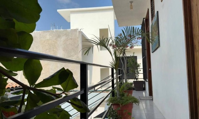 Hidalgo House | Casa Rockot