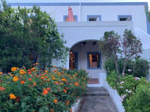 Panarea House | casa Rosa e casa Stella - Panarea centro