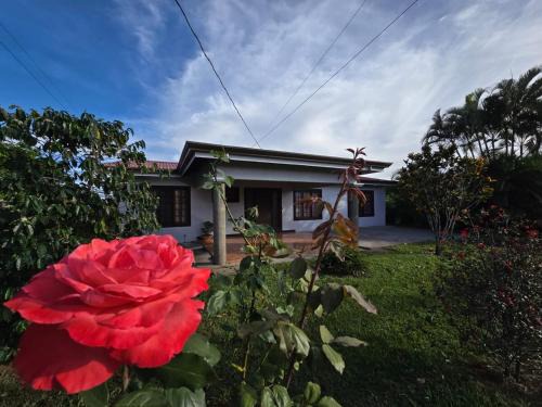 Bolivar House | Casa Rosabella