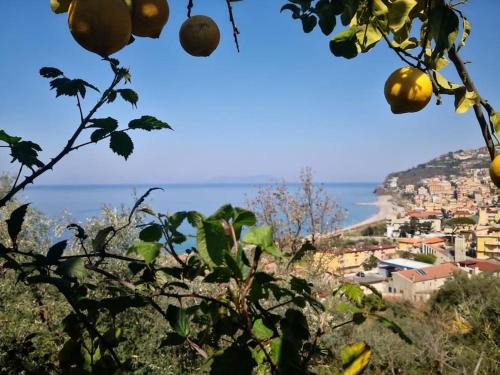Piraino Apartment | Casa Spisidda Appartamento bilocale "Salina" con vista sulle Eolie