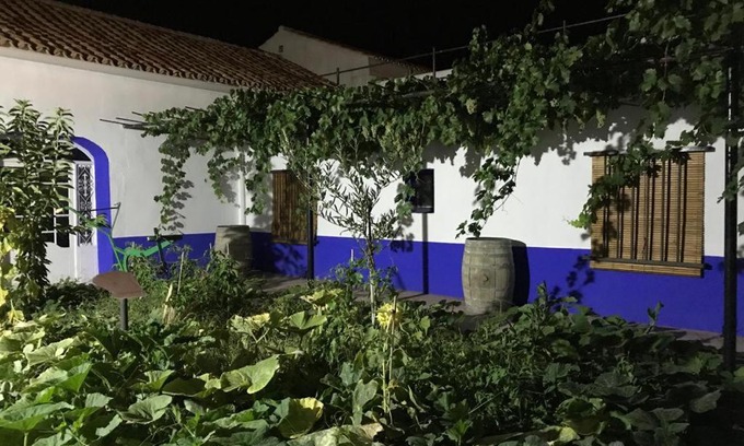 Arenales de San Gregorio House | Casa (tipo) RURAL MANCHEGA