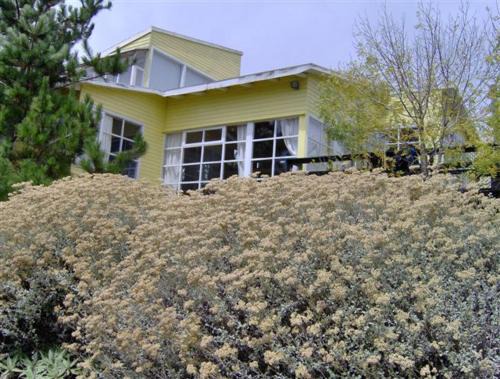 Mirasol House | Casa Tunquén