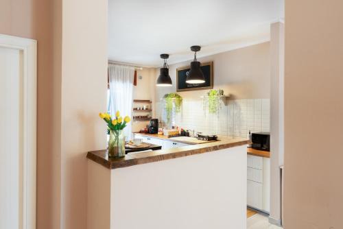 Ercolano Apartment | Casa vacanze VesuviusView