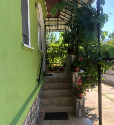 Vata de Jos House | Casa Verde