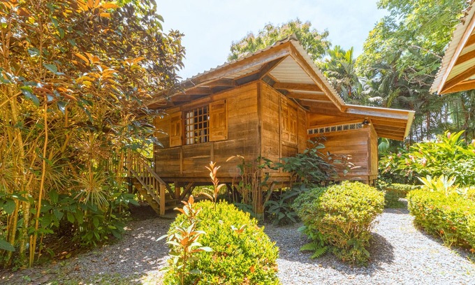 Punta Uva Hotel | Casa Viva Eco Lodge