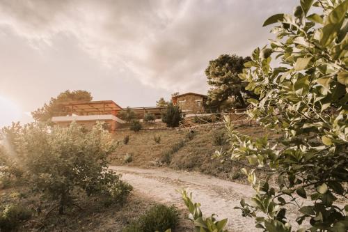 Marina di Amendolara Bed & Breakfast | Casale 700