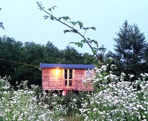 Albairate House | Casetta sul lago