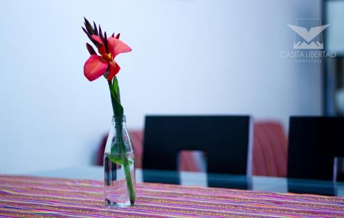Chorrillos House | Casita Libertad Chorrillos