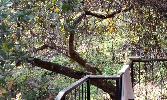 Palolem Hotel | Castle House Palolem