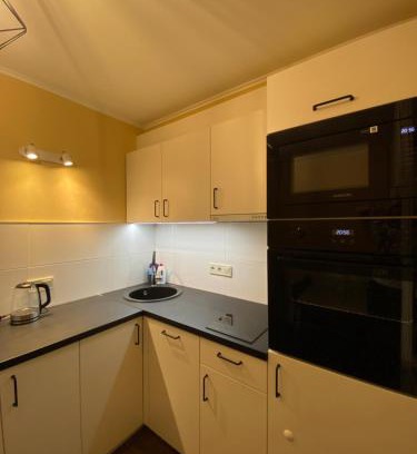 Purvciems Apartment | Cat Garden Business Apartments Riga