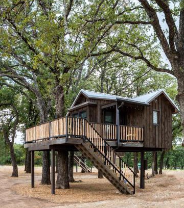 Elm Mott Other | Cedar Waxwing Treehouse15 MIN to MagnoliaBaylor