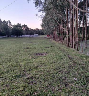 Correia Pinto Ski Chalet | Chalé copo de leite