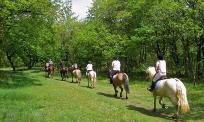 Tamnies Ski Chalet | Chalet 4 étoiles - Piscine - eeecic