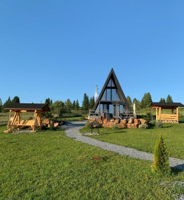 Dorna Candrenilor Ski Chalet | Chalet Charme Bucovina