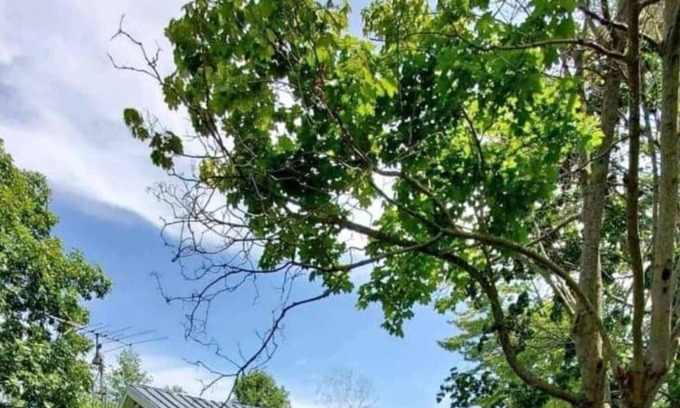 Lancaster Ski Chalet | Chalet Le Blü Pour un Séjour Confortable Dans une Ambiance Relaxante