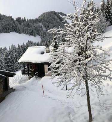 Champoussin Apartment | Chalet LYS Apartment 14 Rue Sigma