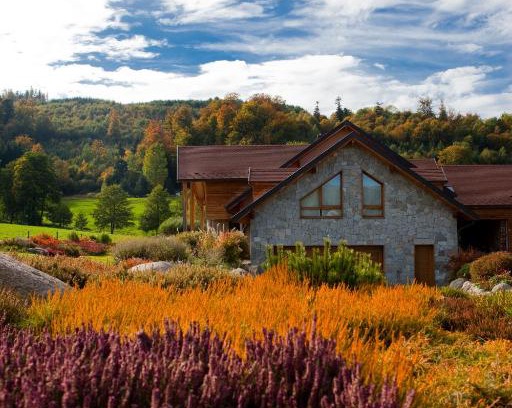 Le Hohwald Bed & Breakfast | Chambre d'hôtes La Forestière