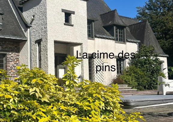 Chanteloup Bed & Breakfast | chambres d'hôtes, La cime des pins