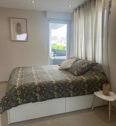 Illkirch-Graffenstaden Apartment | Charmant Studio avec terrasse