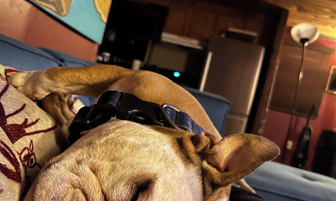 Kirby House | Charming 3-bedroom house in Rio with AC, WiFi. Enjoy your stay