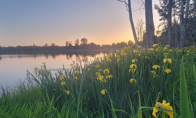 Clear Lake House | Charming 4 Bdrm Lake House + Huge Games Room