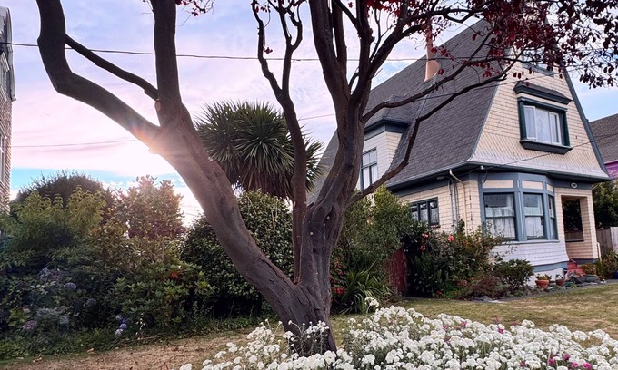 Eureka House | Charming and Cozy Room in beautiful Eureka Victorian