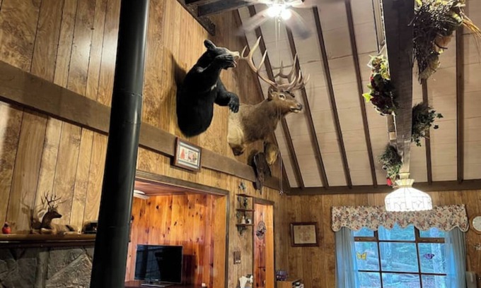 Fairmount Springs Cabin | Charming Cabin in the Woods Close to Ricketts Glen