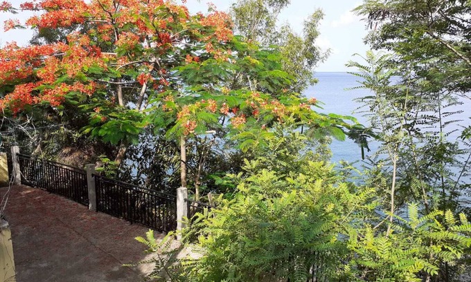 Malendure Apartment | Charming F2 20 meters from the seafront for 3 people or 2 adults and 2 children.