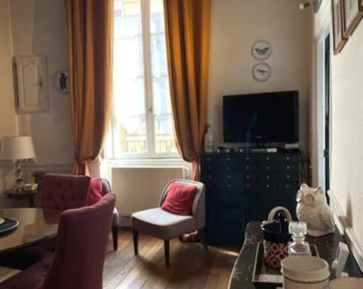 Dijon Centre Ville Apartment | CHARMING FLAT IN HISTORICAL CENTRE