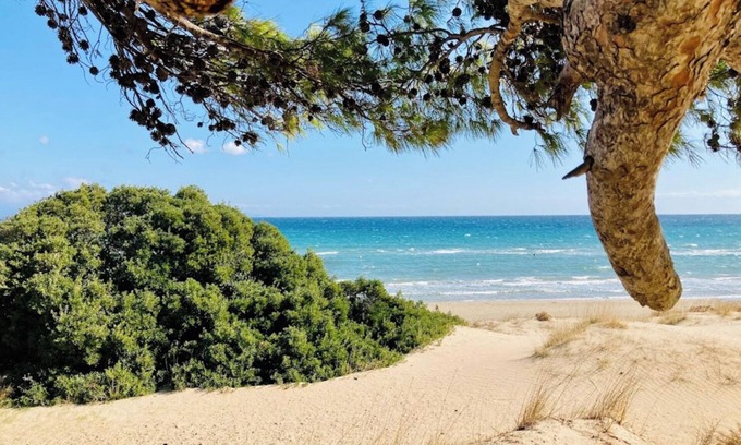 Spata-Artemida Apartment | Charming loft-style apartment just 60 m from Artemida’s long sandy beach!