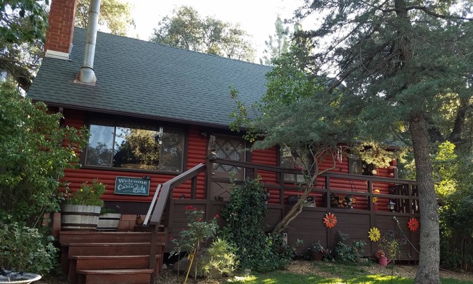 Pine Valley Cabin | Charming log cabin surrounded by the hills of the Cleveland National Forest