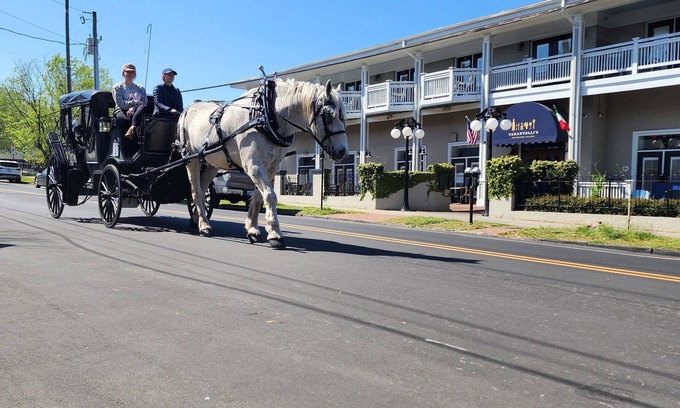 Wilmington Historic District Condo | Charming Masonboro Suite- Downtown Wilmington