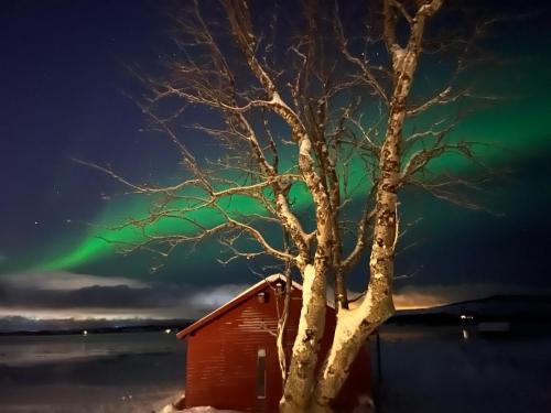 Kvaloya House | Charming place in Tromsø by the sea.