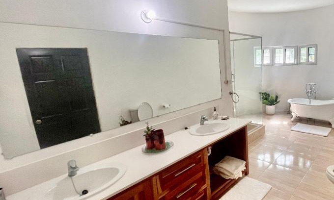 Albion House | Chasucourt